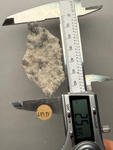 Load image into Gallery viewer, Blue-Green Chrysocolla in Botryoidal Chalcedony Cabinet Specimen | Indonesia