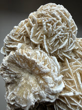 Load image into Gallery viewer, Desert Rose Selenite (Gypsum) — Mineral Display Specimen | Mexico