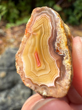 Load image into Gallery viewer, High-Grade Parallax Banded Laguna Agate – Bright Red & Yellow Crystal from Mexico