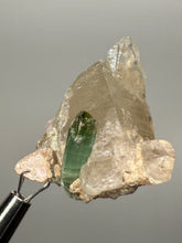 Load image into Gallery viewer, Blue Indicolite & Mint Green Tourmaline on Quartz Matrix – Pegmatite Mineral Specimen from Pakistan