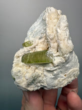 Load image into Gallery viewer, Watermelon Tourmaline & Aquamarine on Matrix – Collector Mineral Specimen from Pakistan