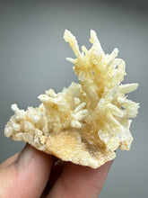 Load image into Gallery viewer, High-Grade Coral Aragonite Crystal Specimen – Wenshan Mine, Yunnan, China