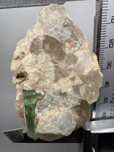 Load image into Gallery viewer, Bicolor Blue Green Tourmaline on Clear Quartz Crystal | Pegmatite Mineral Specimen from Pakistan