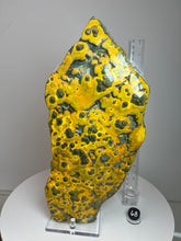 Load image into Gallery viewer, Bumblebee Jasper Agate Free Form • from West Java, Indonesia • AAA High Grade