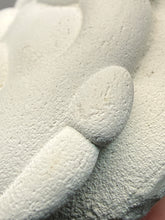 Load image into Gallery viewer, Chichaoua Menalite “Fairy Stone” Concretion | Natural Collector Display Specimen | Morocco
