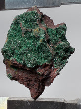 Load image into Gallery viewer, Brochantite Collector Mineral Specimen – Vivid Green Copper Crystals from Morocco