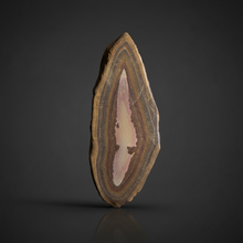 Load image into Gallery viewer, Stromatolite Fossil Slice | Ancient Microbial Reef Structure | Morocco