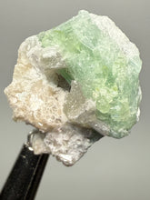 Load image into Gallery viewer, Mint Green Tourmaline on Matrix– Pegmatite Mineral Specimen from Pakistan