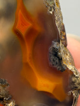 Load image into Gallery viewer, Polished Malawi Agate Half – High-Grade African Banded Agate Display Specimen