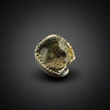 Load image into Gallery viewer, Bivalve (Pelecypoda) Fossil Sea Shell with Chalcopyrite | Mineralized Fossil Specimen | Indonesia