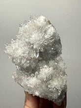 Load image into Gallery viewer, High-Grade Chrysanthemum Quartz (Needle Quartz) Spray Cluster | Jiangxi, China