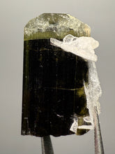 Load image into Gallery viewer, Green Cap Stak Nala Tourmaline with Cleavelandite – Haramosh Mountains, Pakistan | Thumbnail Specimen