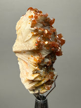 Load image into Gallery viewer, Natural Vanadinite on Matrix | Collector Mineral Specimen | Morocco