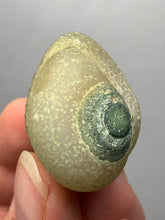 Load image into Gallery viewer, Naturally Sand-Chiseled Gobi Eye Agate | Inner Mongolia Desert Sculpted Specimen