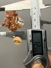 Load image into Gallery viewer, Natural Vanadinite on Matrix | Collector Mineral Specimen | Morocco
