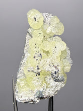 Load image into Gallery viewer, Vibrant Yellow Brucite Thumbnail Mineral Specimen | Collector Crystal from Killa Saifullah District in Balochistan Province, Pakistan