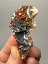 Load image into Gallery viewer, Natural Vanadinite on Matrix | Collector Mineral Specimen | Morocco