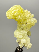 Load image into Gallery viewer, Vibrant Yellow Brucite Thumbnail Mineral Specimen | Collector Crystal from Killa Saifullah District in Balochistan Province, Pakistan
