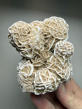 Load image into Gallery viewer, Desert Rose Selenite (Gypsum) — Mineral Display Specimen | Mexico