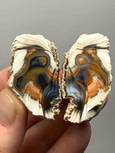 Load image into Gallery viewer, Premium Sumatra Agate Pair (Banded Chalcedony) Display Specimen | Indonesia
