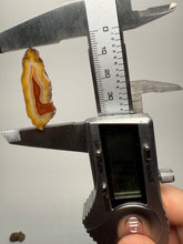 Load image into Gallery viewer, Lot of 4 Small Malawi Agate Halves – Polished Rare Colorful Collector Specimens