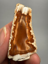 Load image into Gallery viewer, High-Grade Indonesian Sumatra Agate Pair – Vibrant Banded Chalcedony with Rich Color Zoning | Ethical Lapidary & Collector Display Specimens