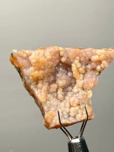 Load image into Gallery viewer, “Goblin Chalcedony” Pink and Red Druzy Botryoidal Stalactites — Tichka Massif, High Atlas, Morocco