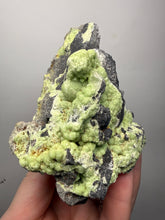 Load image into Gallery viewer, High-Grade Green Wavellite Collectors Specimen - Radiating Botryoidal Crystal Formation - Arkansas, USA