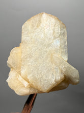 Load image into Gallery viewer, Peach Stilbite Mineral Collector’s Specimen — Deccan Traps, Maharashtra, India