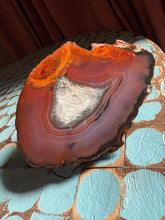 Load image into Gallery viewer, Condor Agate from Argentina • High Grade Mineral Display Specimen• Mirror Polish