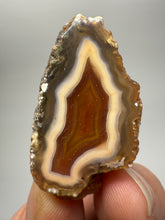 Load image into Gallery viewer, Polished Malawi Agate Half – High-Grade African Banded Agate Display Specimen