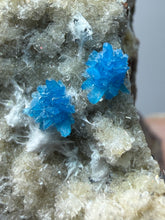 Load image into Gallery viewer, Rare Electric Blue Pentagonite on Druzy Matrix – Collector Mineral Specimen | India