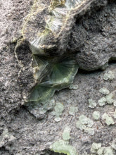Load image into Gallery viewer, High-Grade Green Wavellite Collectors Specimen - Radiating Botryoidal Crystal Formation - Arkansas, USA