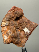 Load image into Gallery viewer, Chalcedony Quartz Rose Agate Collector Mineral Specimen – Morocco