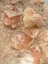 Load image into Gallery viewer, Rare Druzy Pink & Red Apophyllite Crystal Cluster – High Grade Collector Mineral Specimen | India