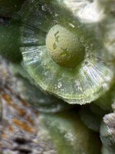 Load image into Gallery viewer, High-Grade Green Wavellite Collectors Specimen - Radiating Botryoidal Crystal Formation - Arkansas, USA