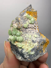 Load image into Gallery viewer, High-Grade Green Wavellite Collectors Specimen - Radiating Botryoidal Crystal Formation - Arkansas, USA