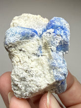 Load image into Gallery viewer, Afghanite Lazurite Specimen | Deep Blue Lapis-Grade Crystal on Matrix | Collector Display Mineral