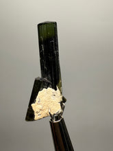 Load image into Gallery viewer, Green Cap Stak Nala Tourmaline with Cleavelandite – Haramosh Mountains, Pakistan | Thumbnail Specimen