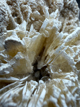 Load image into Gallery viewer, Desert Rose Selenite (Gypsum) — Mineral Display Specimen | Mexico