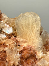Load image into Gallery viewer, Shiny Peach Stilbite on Druzy Red Heulandite – High-Grade Collector Mineral Specimen from India