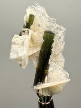 Load image into Gallery viewer, Green Cap Stak Nala Tourmaline with Cleavelandite – Haramosh Mountains, Pakistan | Thumbnail Specimen
