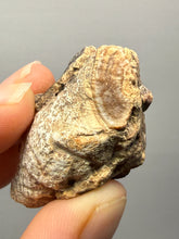 Load image into Gallery viewer, Premium Sumatra Agate (Banded Chalcedony) Display Specimen | Indonesia