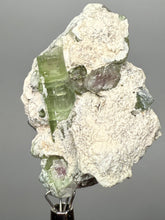 Load image into Gallery viewer, Watermelon Tourmaline on Matrix – Collector Mineral Specimen from Pakistan