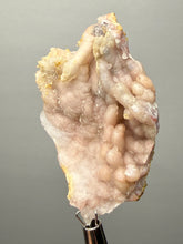 Load image into Gallery viewer, Sunset Goblin Chalcedony Botryoidal Stalactite | Sidi Rahal, Morocco (Western Sahara) Mineral Display Specimen