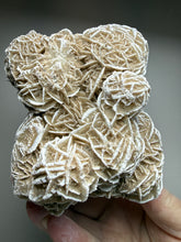 Load image into Gallery viewer, Desert Rose Selenite (Gypsum) — Mineral Display Specimen | Mexico