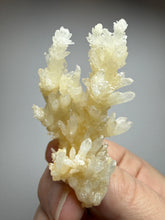 Load image into Gallery viewer, High-Grade Coral Aragonite Crystal Specimen – Wenshan Mine, Yunnan, China
