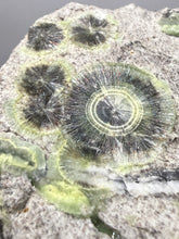 Load image into Gallery viewer, High-Grade Green Wavellite Collectors Specimen - Radiating Botryoidal Crystal Formation - Arkansas, USA