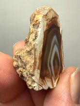Load image into Gallery viewer, Premium Sumatra Agate (Banded Chalcedony) Display Specimen | Indonesia