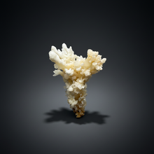 Load image into Gallery viewer, 3.7” High-Grade Flower Calcite Specimen | Wenshan Mine, Yunnan, China | Collector Mineral Display